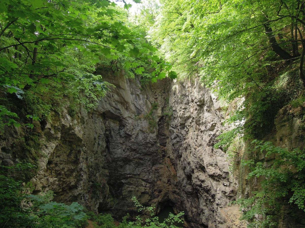 Apartma S Vlastni Saunou Lipník nad Bečou エクステリア 写真